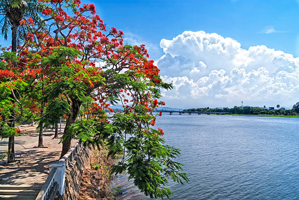 берегах река хыонг (sông hương - perfume стоковые фото и изображения