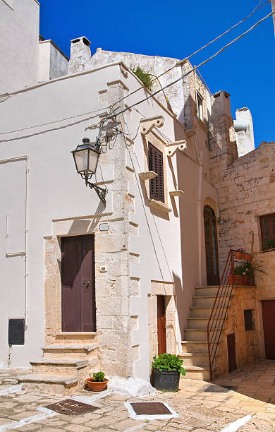 istock Mr Alleyway. Missive chicks. Apulia. Italy. 186952033