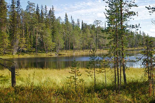 istock Lake Landscape in Wilderness 186954440