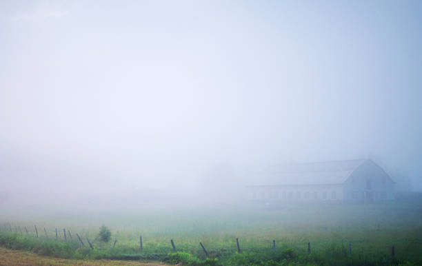 Foggy farm stock photo