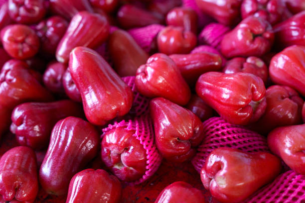 Rose apples, also known as Java apples, are shaped like a small pear with waxy skin. The colour can either be red or green depending on the variety. With its light, crispy and wooly texture.