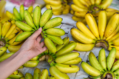 High angle view a woman holds ripe yellow bananas bought at a morning market stall, embodying the concepts of vegetarianism, veganism, and raw food.