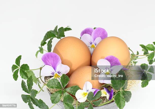 Disposição Do Ovo De Páscoa - Fotografias de stock e mais imagens de Amor-perfeito - Amor-perfeito, Arranjo, Arranjo de flores