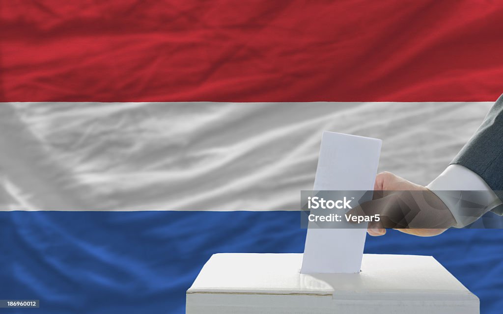 Człowiek głosowania w wyborach w przód flagi Holandii - Zbiór zdjęć royalty-free (Głosowanie)