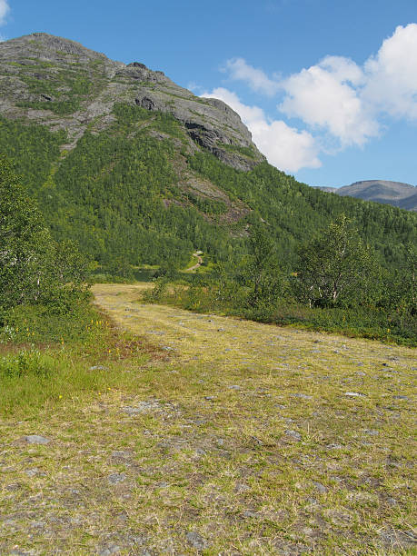 estrada nas montanhas - putelichorr imagens e fotografias de stock