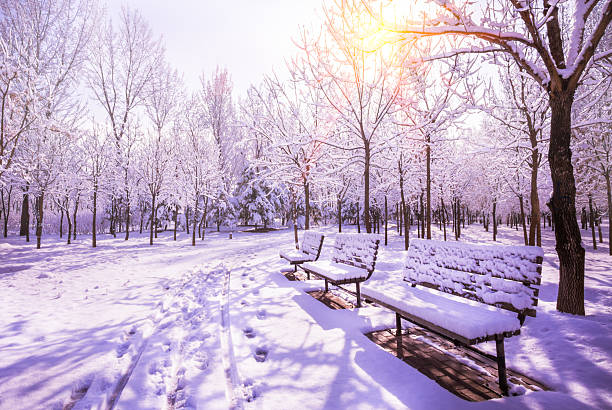 istock Winter scenic of a road with snow covered trees. 186962925