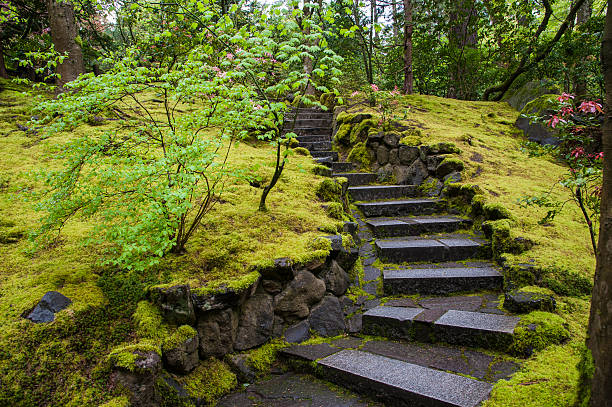 istock Stone stairway in a garden 186963487