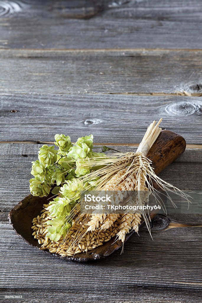 Lúpulo, grãos e cereais Ouvidos - Royalty-free Amarelo Foto de stock