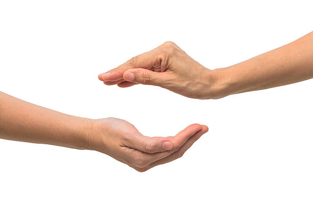 istock Two woman hand s measuring invisible items  Isolated on white 186963715