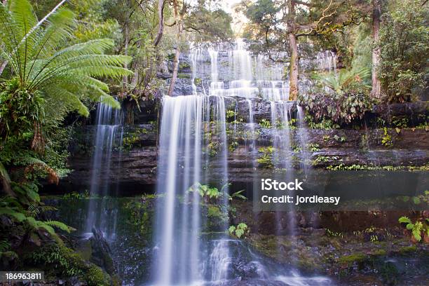 Wasserfall Russell Falls Stockfoto und mehr Bilder von Australien - Australien, Baum, Blatt - Pflanzenbestandteile