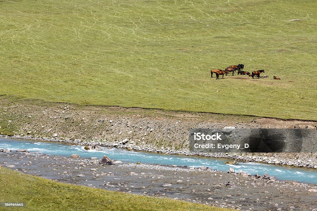 Pferde Ausruhen bei blue river - Lizenzfrei Agrarbetrieb Stock-Foto