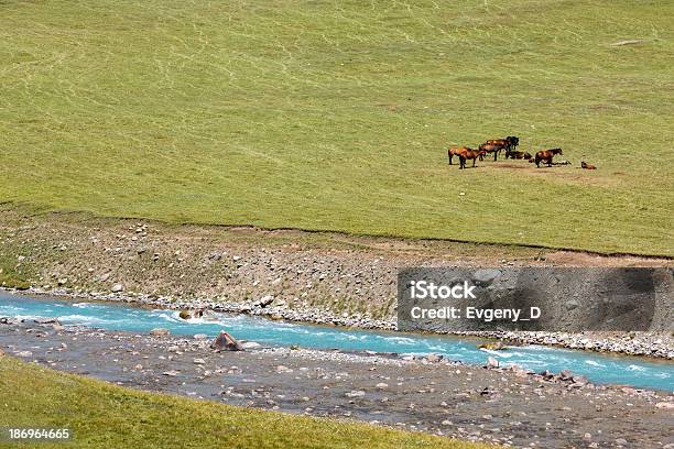 Pferde Ausruhen Bei Blue River Stockfoto und mehr Bilder von Agrarbetrieb - Agrarbetrieb, Anhöhe, Berg