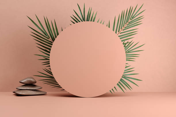 istock Chocolate brown colored round cylinder podium or platform with palm tree leaf and zen stones. 1869660810