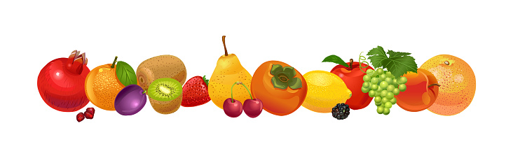 Thai fruits. Fruit from Thailand. Banana, coconut, melon, watermelon, carambola, papaya, rose apple, durian, lichee, mango, mangosteen, dragon fruits, rambutan, pineapple. Vector illustration