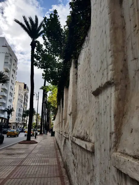 Photo of Palm Lined Streets and Long wall