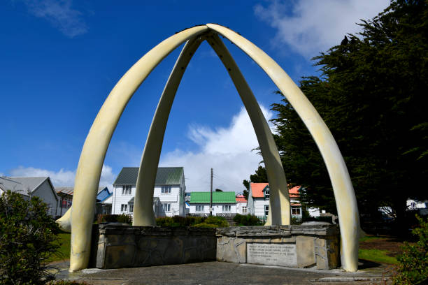 istock Whalebone arch, downtown, Stanley, Falkland Islands 1869695440