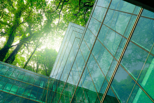 Eco-friendly building in modern city. Sustainable glass office building with trees for reducing CO2. Green architecture. Building with green environment. Sustainability corporate. Net zero emissions.