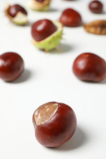 Chestnut Without Gradient Chestnuts In Shell And Without On A White Background Stock Photo ...