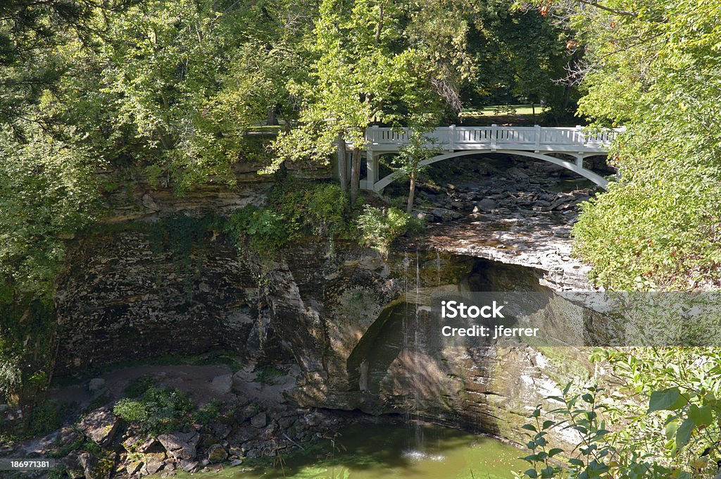 Parque Estatal Minneopa Gorge Bridge e da floresta - Foto de stock de Bosque - Floresta royalty-free