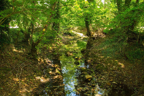 istock Japod Islands Near Bihac, Bosnia 1869722721
