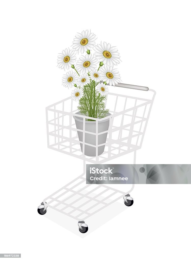 Beautiful Fresh Chamomile in A Shopping Cart A Symbol of Love, A Shopping Cart Full with Lovely Chamomile Flowers or White Daisy in Flowerpot for Garden Decoration Isolated on White Background Botany stock illustration