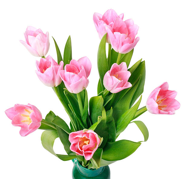 istock Bouquet of tulips isolated on white 186972776