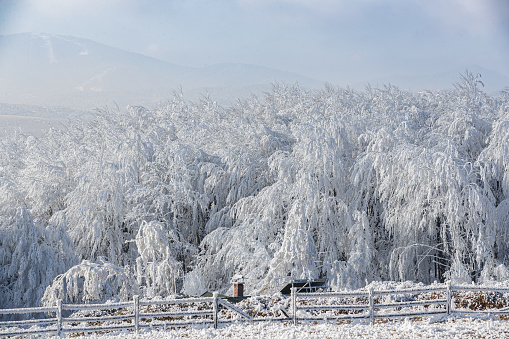 Beautiful white snow on wood and fenced land under blue cloudy sky, wintertime in the mountains