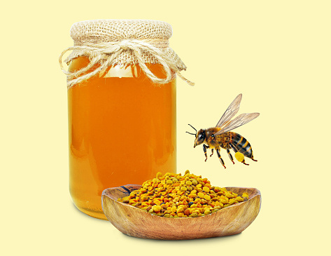 honey in jar, flower pollen and bee isolated
