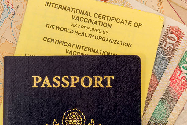 istock Passport and vaccination card with money 186977191