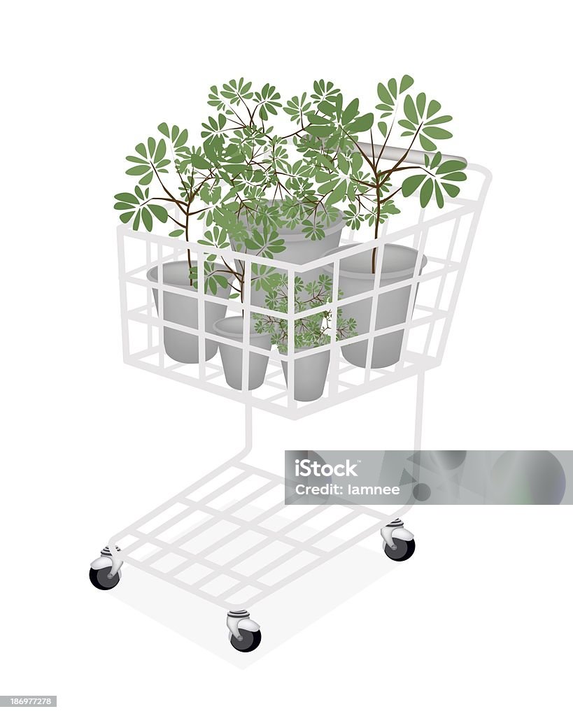 Verde plantas e árvores em um carrinho de compras - Ilustração de Artigo de decoração royalty-free