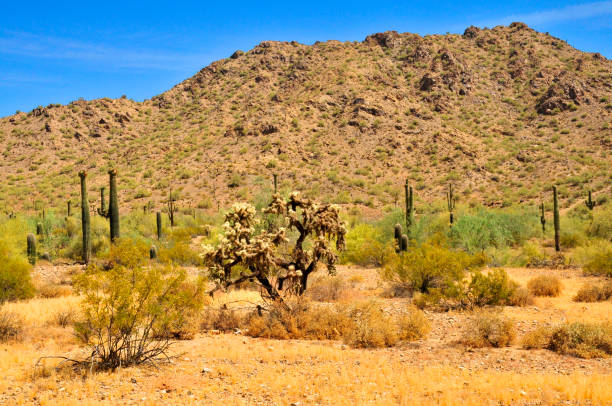 istock San Tan Mountains Sonora Desert Arizona 1869775638