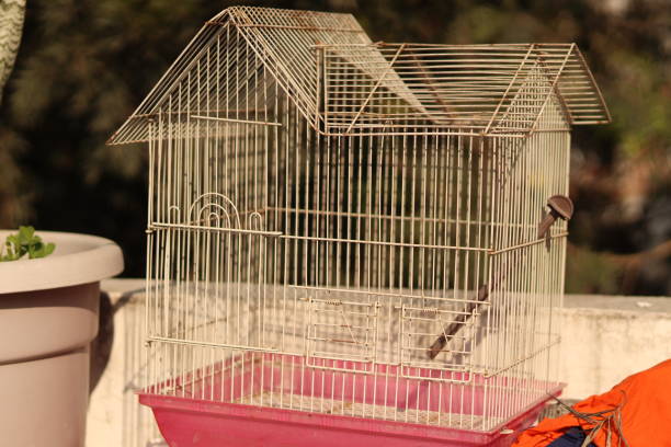 istock An old White and pink colored bird cage placed outside with bokeh background, side shot 1869779555