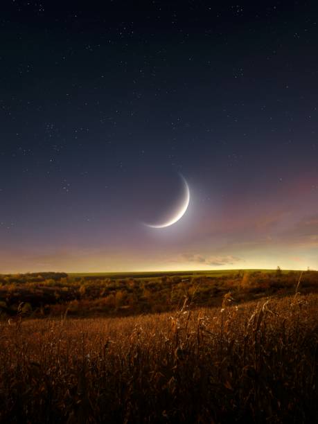 istock Big Moon in the evening sky over autumn fields. 1869785612