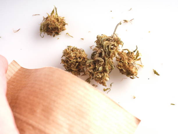 istock marijuana sales. medical cannabis in paper packaging 1869800612