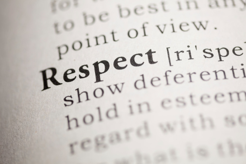 Fake Dictionary, Dictionary definition of the word Respect.