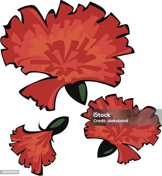 Drei Vektor Rot Carnations Isoliert Auf Weißem Hintergrund Stock Vektor Art und mehr Bilder von Blume