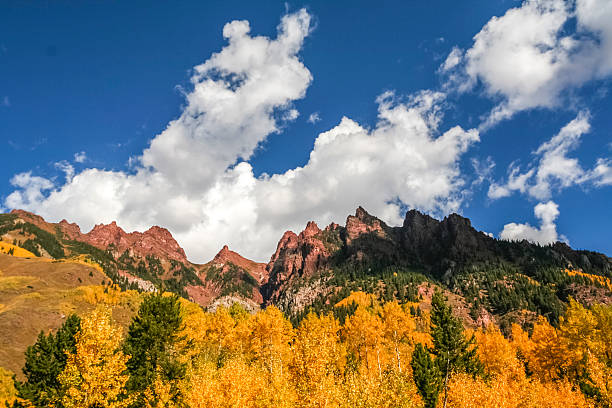 istock Aspen Grove in the Fall with Blue Sky 186982234