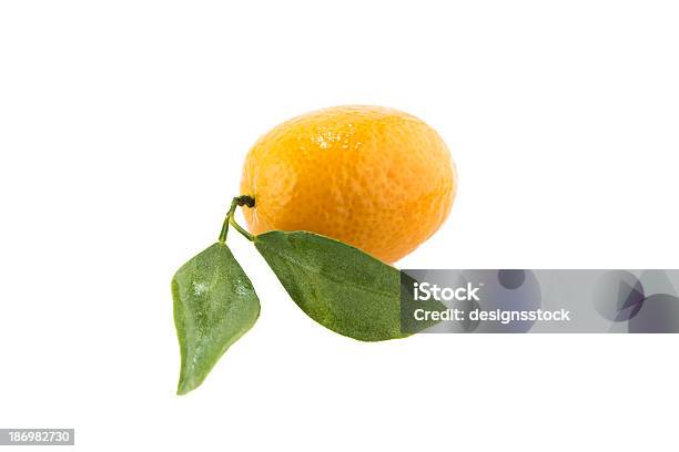 Słodkie Małe Pomarańczowy - zdjęcia stockowe i więcej obrazów Bez ludzi - Bez ludzi, Cytryna, Dieta