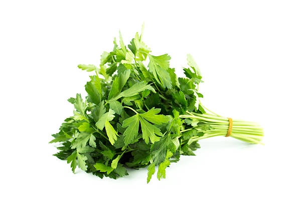 istock bunch of parsley 186985368