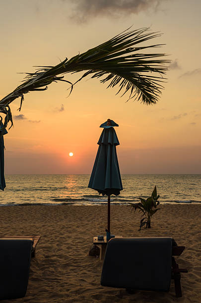 istock Silhouettes of beach umbrellas sunset and sky 186985640