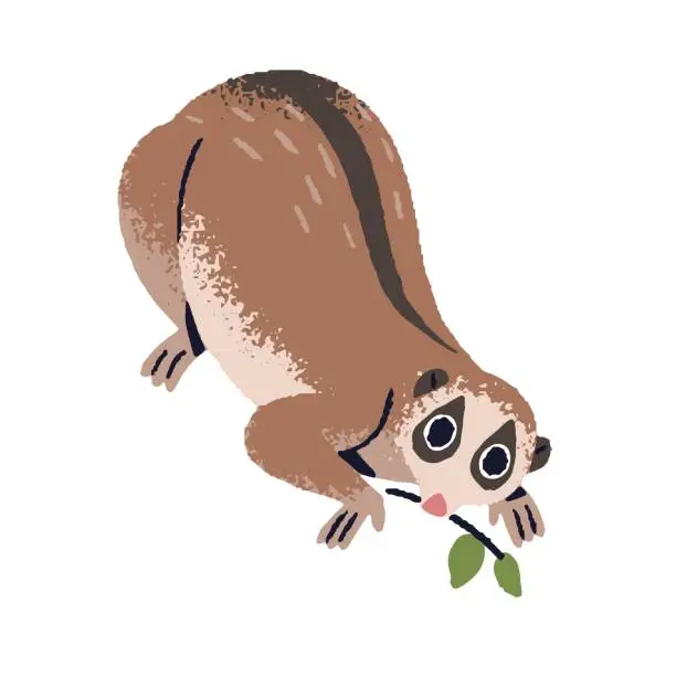 Vector illustration of Slow lorises on tree branch. Cute lemur with big eyes. Funny exotic primate, adorable tropical monkey. Rainforest small animal, forest inhabitant. Flat isolated vector illustration on white background