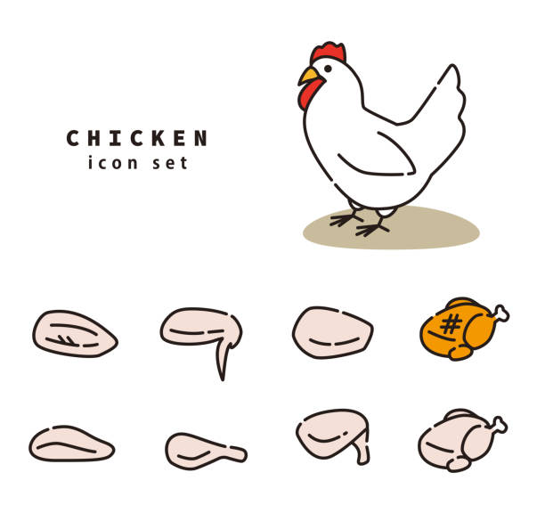 huhn-icon-set - cooked chicken white background grilled chicken stock-grafiken, -clipart, -cartoons und -symbole
