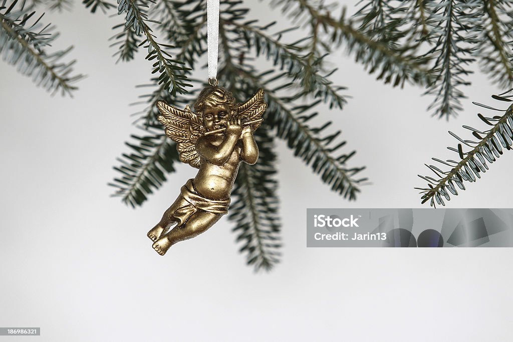 Christmas decoration Golden angel on branch as christmas decoration Angel Stock Photo