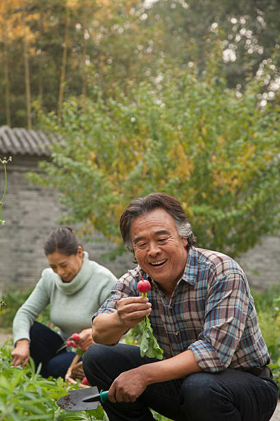 istock Senior couple in garden 186986638