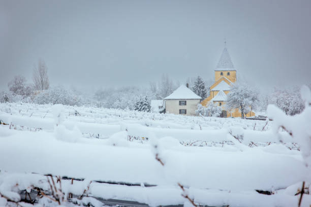 istock Snow-covered Reichenau in Lake Constance 1869870827