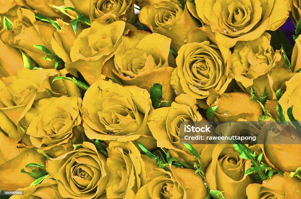 Fondo Natural amarillo de rosas - Foto de stock de Abundancia libre de derechos