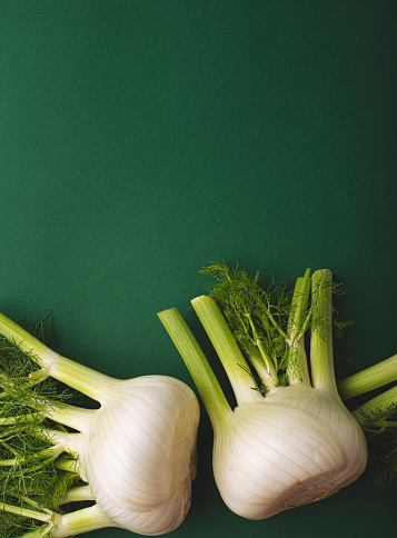 Fresh fennel - a vegetable full of minerals and vitamins on a rich green background, copy space