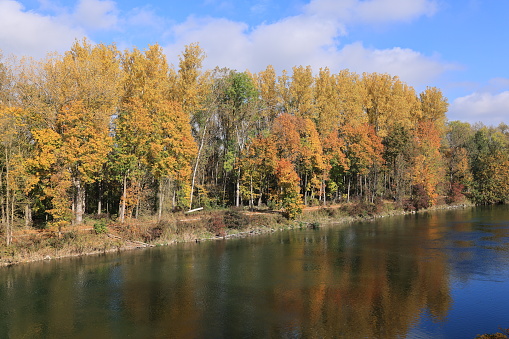 Oktober 25, 2023, Landau an der Isar: Der Fluss Isar bei Landau an der Isar im Herbst