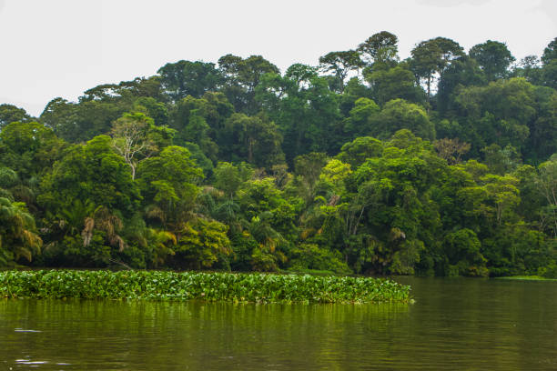 istock Costa Rican Water Tour 1869893810