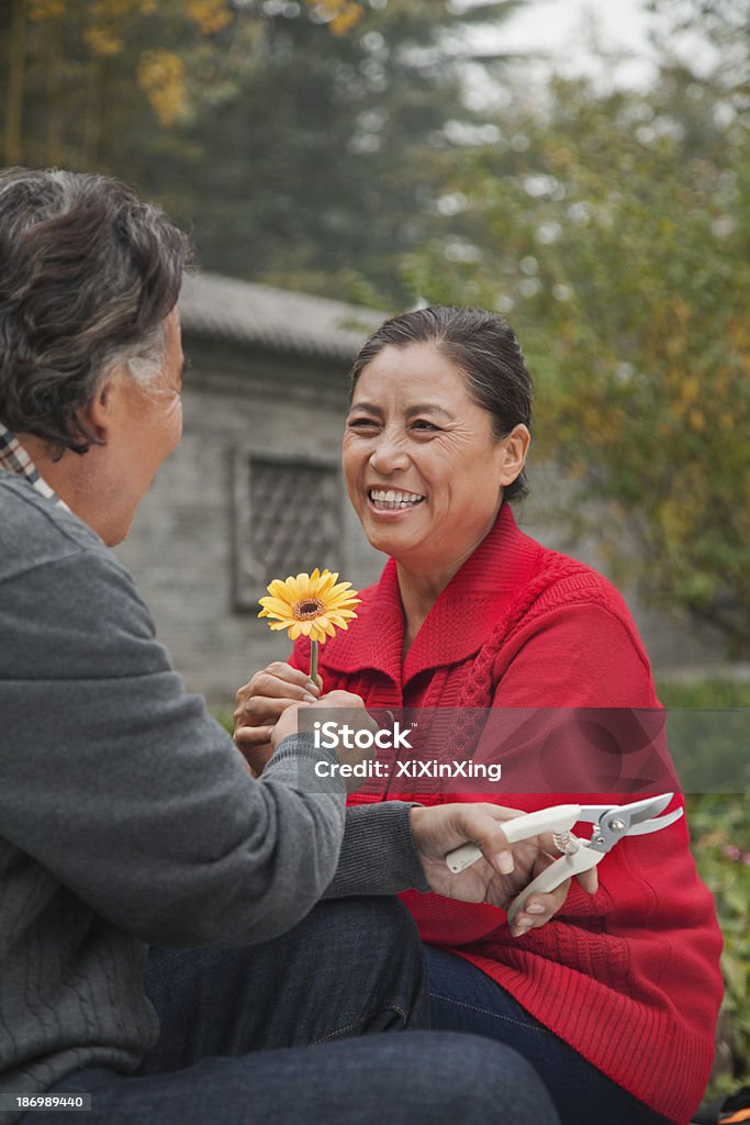 Szczęśliwy Starsza Para z kwiatów - Zbiór zdjęć royalty-free (Senior)